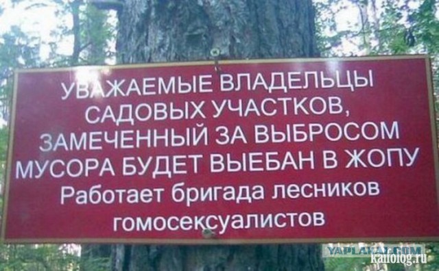 Народные перлы