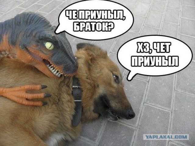 Будничное утро