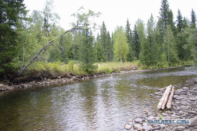 Прогулка.