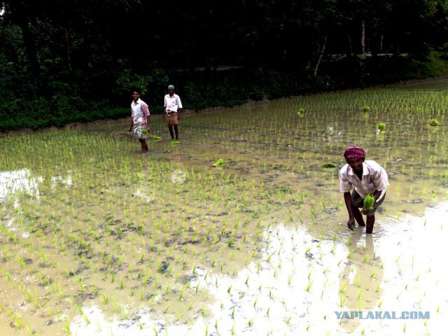 Что такое Бангладеш?