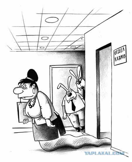 Тот неловкий случай, когда получаешь отказ от кандидата на должность...