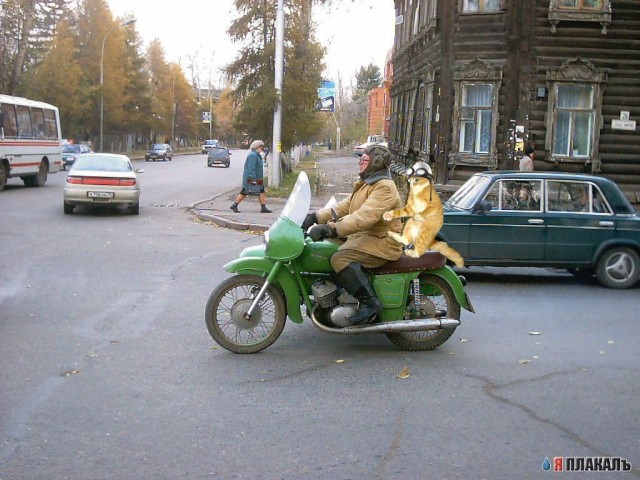 Фотожаба: Гонщик