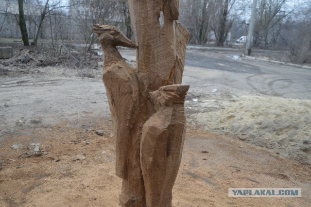 Поцелуй Дятла