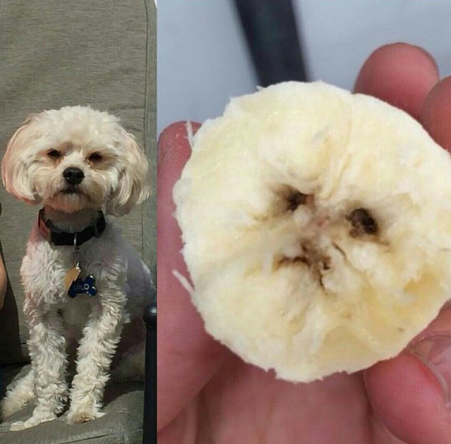 Картинки и приколы из сети