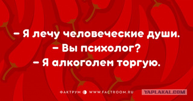 Высказывания из Интернета