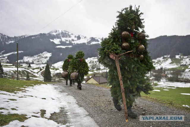 В Тюменском селе чиновники «добыли» новогоднюю елку в палисаднике у старушки