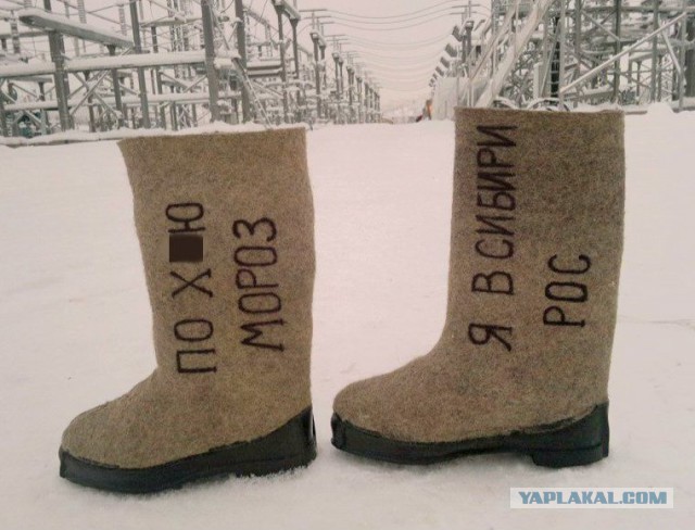 -28 в сибирских регионах.конец света?