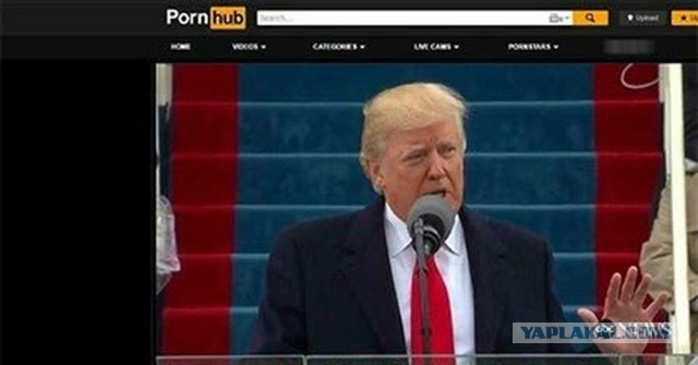 Pornhub нанял технику для уборки снега в США