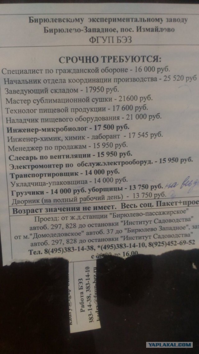 Медведев распорядился создать в Баренцевом море четыре острова