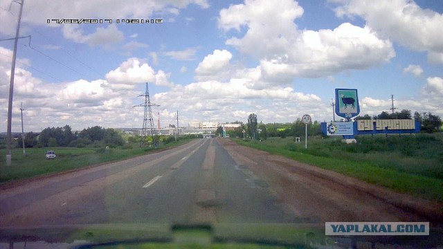 Об июньских грибах Оренбуржья.