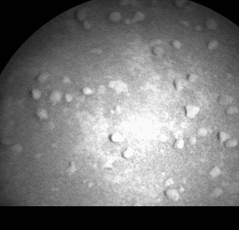 Curiosity. Пять лет на Марсе