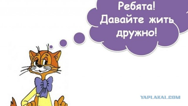 Лезгинка запрещена: Казаки и полиция скрутили танцора лезгинки в Геленджике