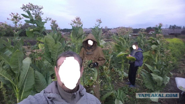 Впереди грядёт запрет курения около подъездов