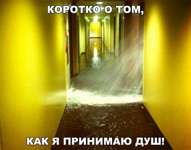 Подборка интересных и веселых картинок