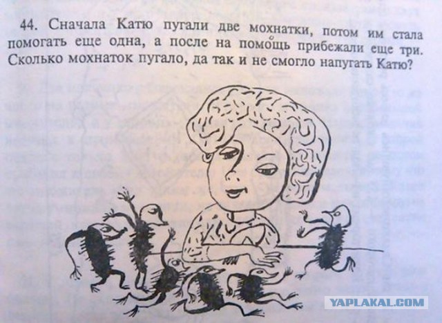 Помогите опознать букашку! Я НА ПАНИКЕ!