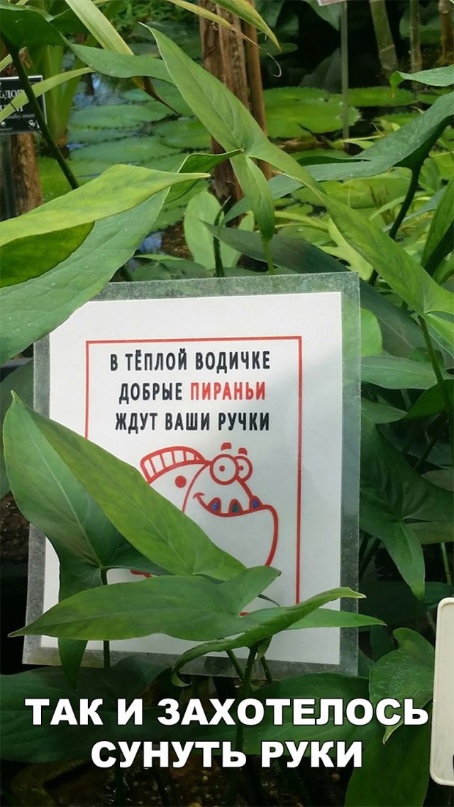 Смешные объявления, надписи и вывески