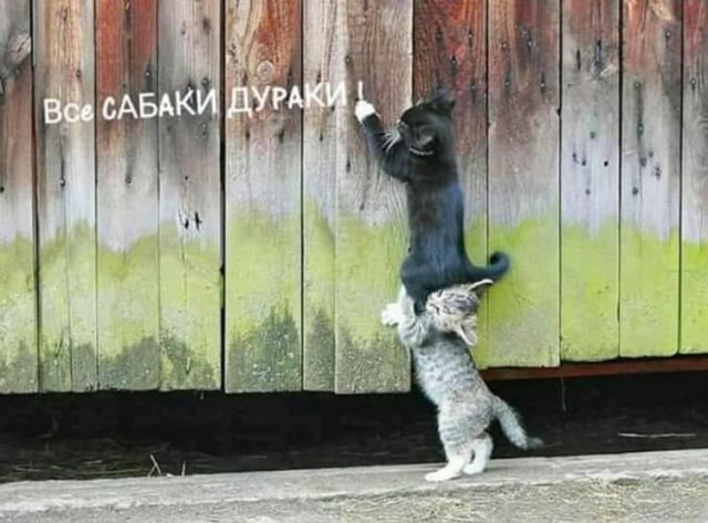 Немного картинок для настроения