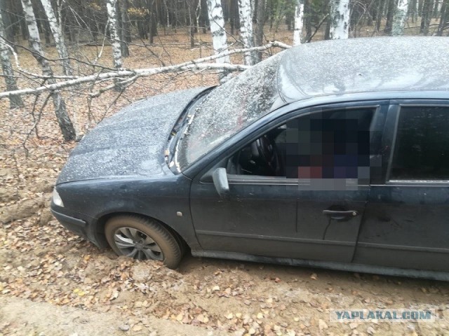 Новости Воронежа: найден водила без головы