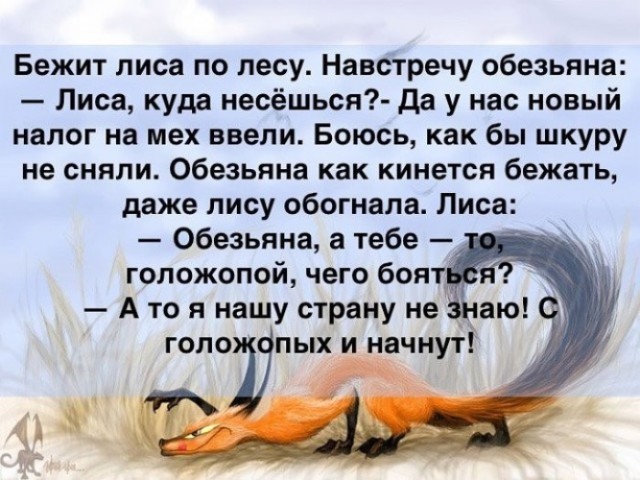 "Выборов больше не будет". Сергей Генералов