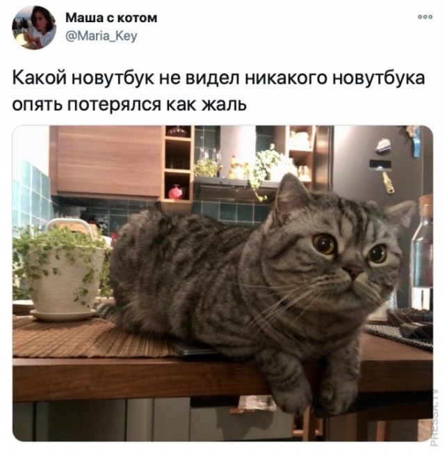 Картинки и мемы для настроения 004