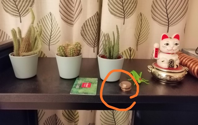Женское насилие в семье