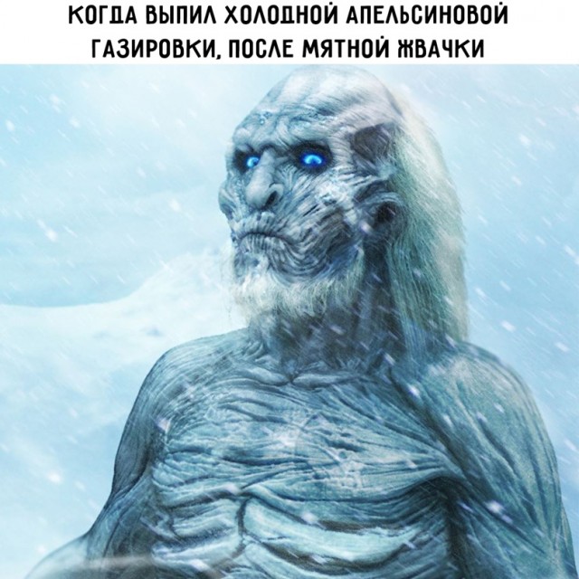Весёлый полтишок 11.03
