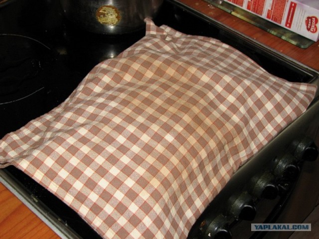 Все из рыбы!