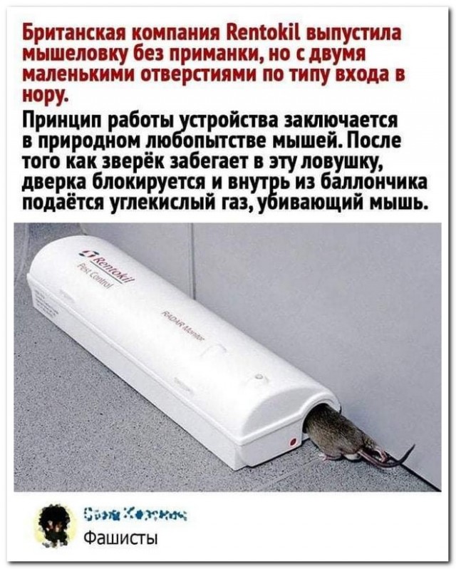 Забавные комментарии из социальных сетей 05.07.21