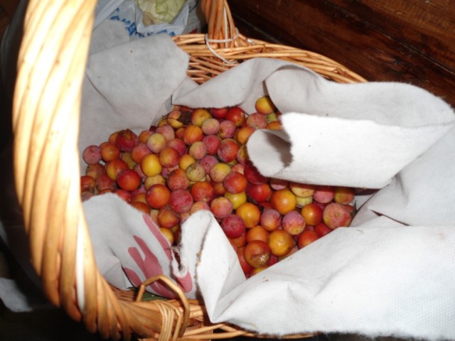 Кулинарная беседка