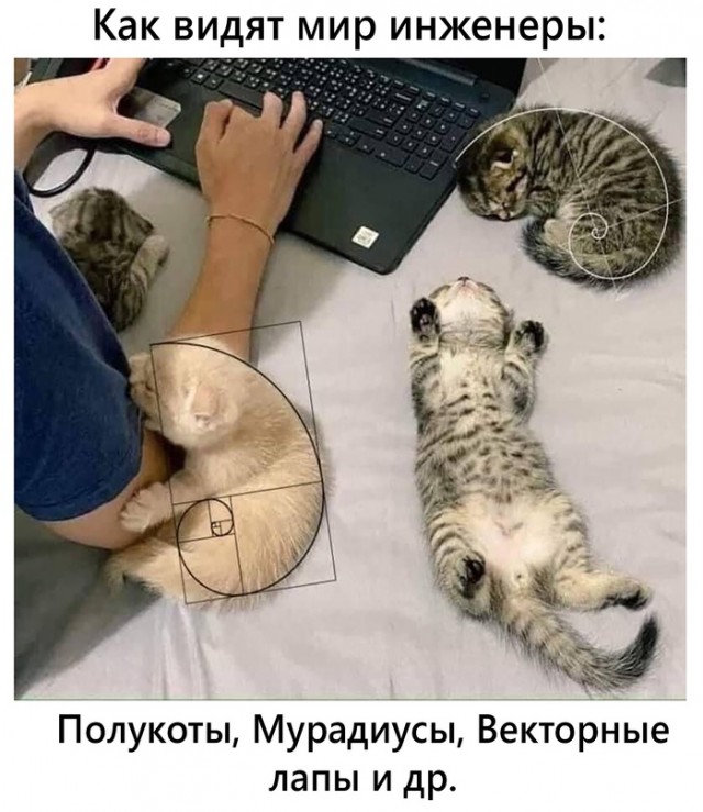 Картинки и мемы для настроения 04.08.2021