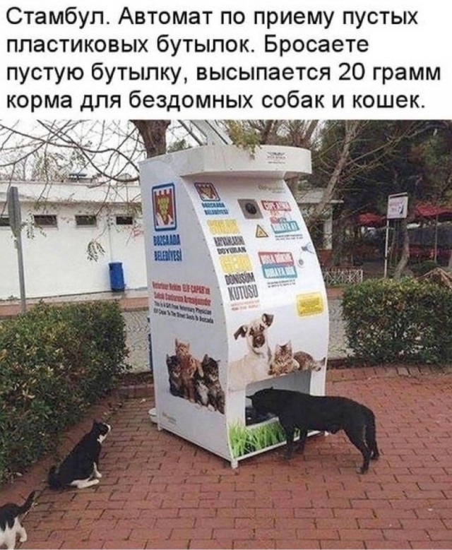 Так себе картинки 09.08.2021