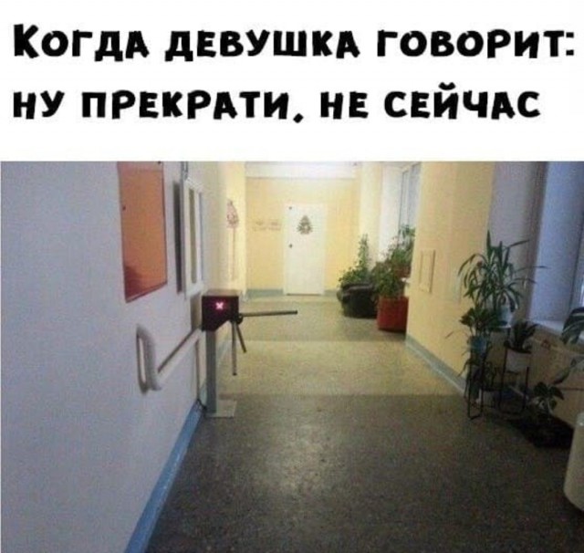 Мемасы (Пошлятина и мат)
