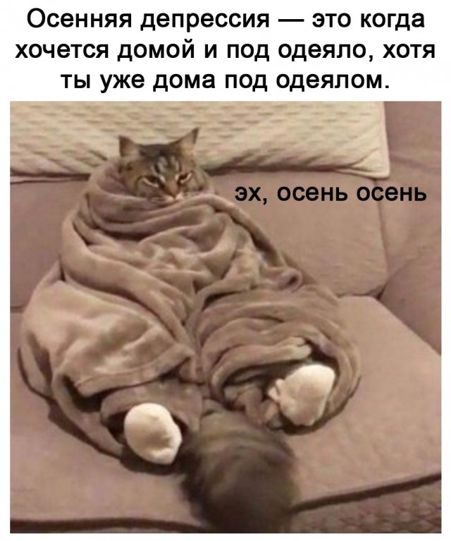 Так себе картинки 05.09.21