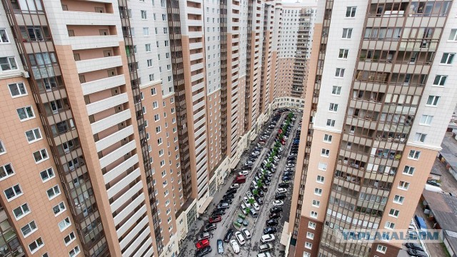 Свежая зелень