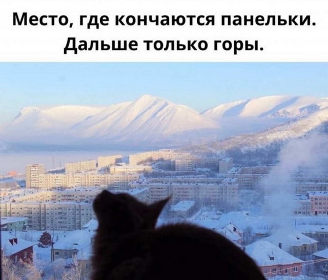 Картинки и мемы для настроения - 22