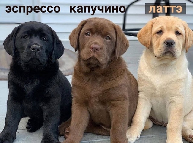 40 картинок разных 17.03.2022