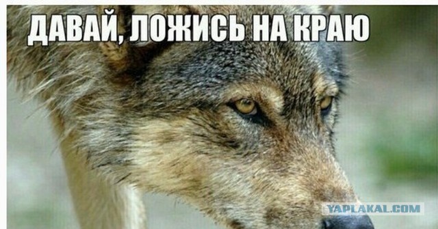 Кто в детстве захватил счастье валяться на печи?