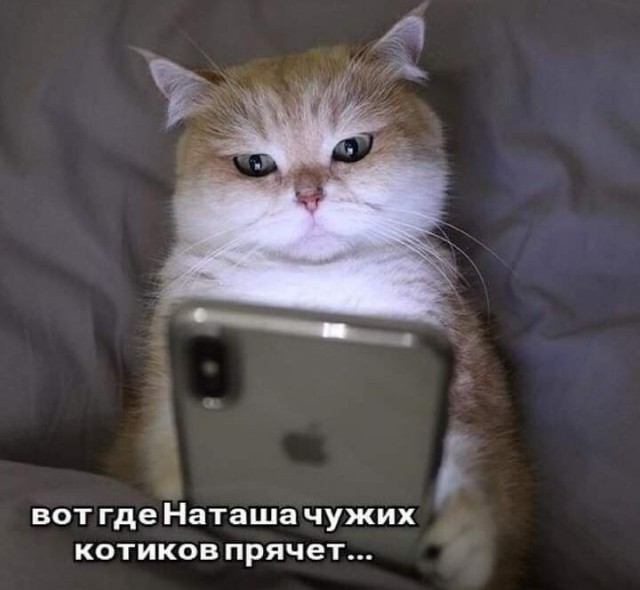 Забавные и веселые картинки
