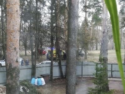 Во Владимирской области пять рабочих пострадали от взрыва гранаты в парке