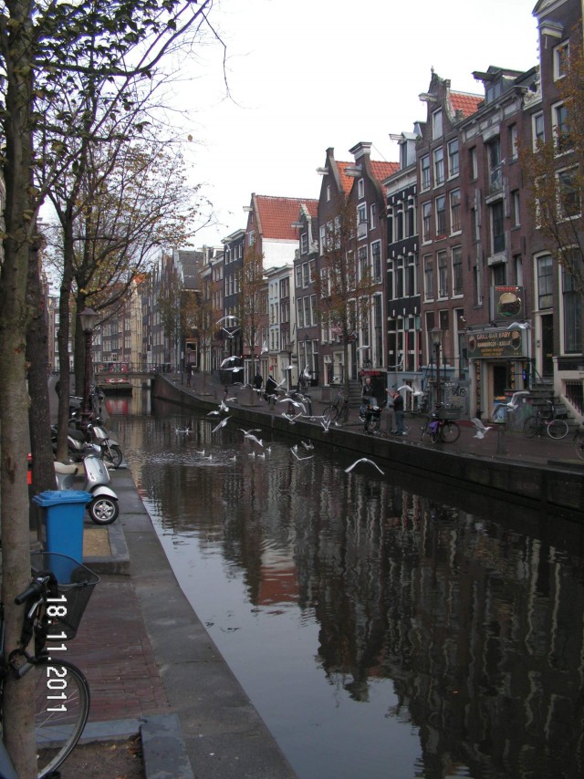 Как мы сгоняли в Амстердам