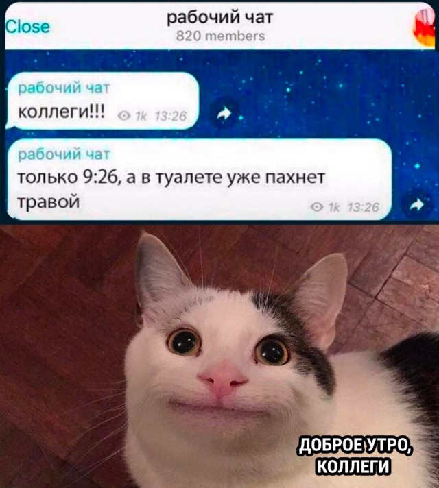 Так себе картинки 25.07.22