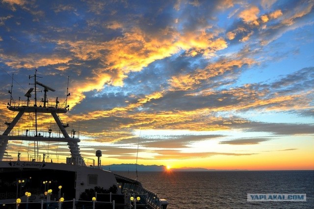 Любовь с первого взгляда