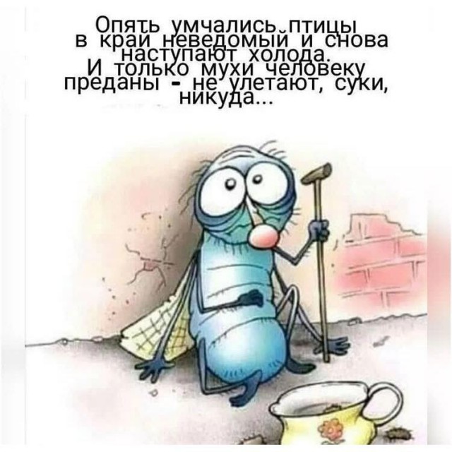 Картинки и мемы, всем хороших выходных