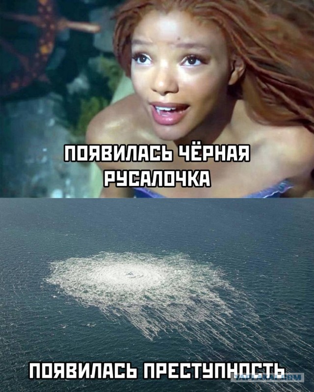 Немного мемчиков. Для взрослых. Часть 19