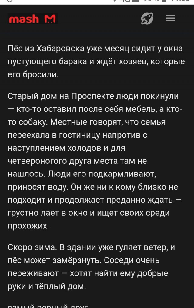 Пёс уже месяц ждёт хозяев, которые бросили его в пустующем бараке.
