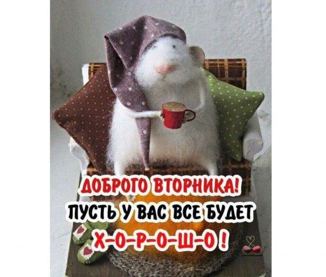 Прикольные и просто красивые картинки 13.12.2022