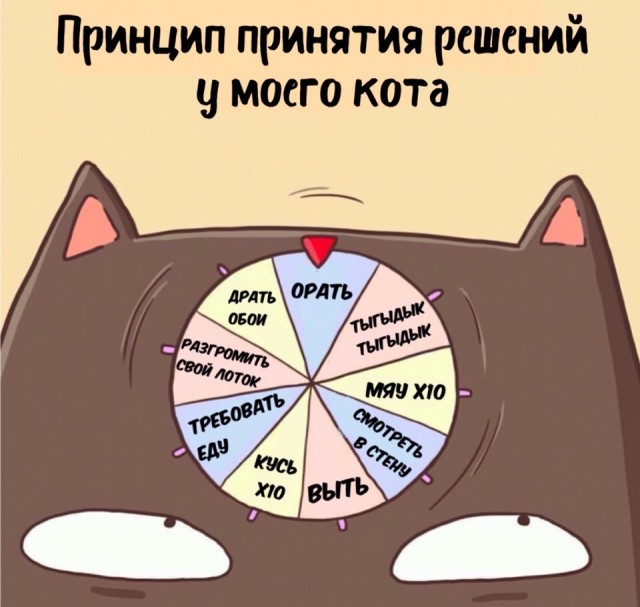 И в этом дурдоме я живу...