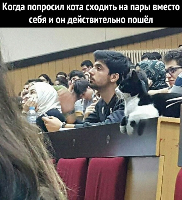 Картинки и мемы для настроения - 181
