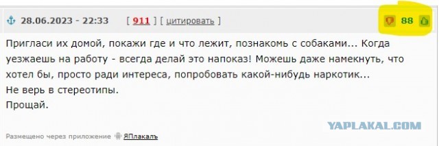 В поселке завелись цыгане. Что делать?