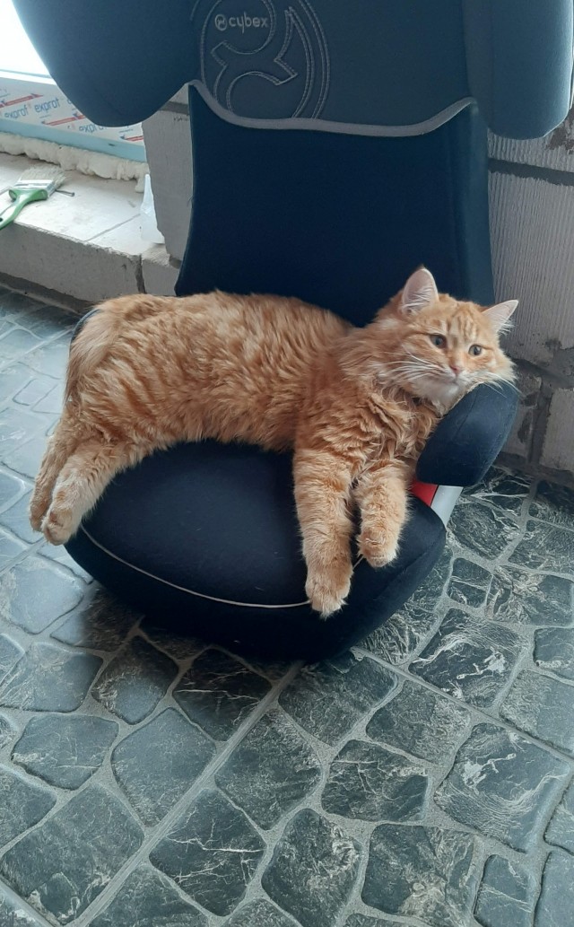 Синхронное лежание